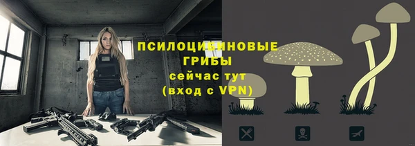 шишки Алексеевка