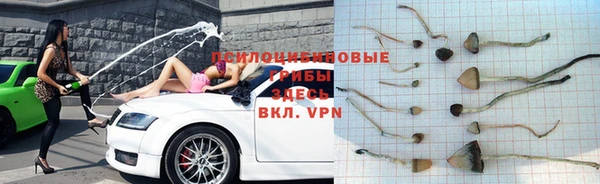 Альфа ПВП Алзамай