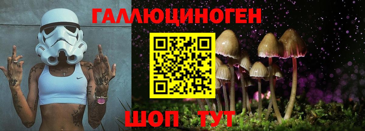 Галлюциногенные грибы Cubensis Североуральск