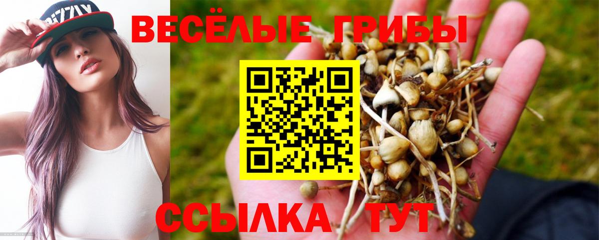 Галлюциногенные грибы MAGIC MUSHROOMS  Галлюциногенные грибы MAGIC MUSHROOMS  закладка  Североуральск  Вход с VPN 